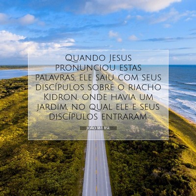 Picture 07 - João 18:1 BSL - Quando Jesus pronunciou estas palavras, ele saiu - Bible Verse Picture