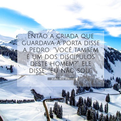 Picture 07 - João 18:17 BSL - Então a criada que guardava a porta disse a - Bible Verse Picture