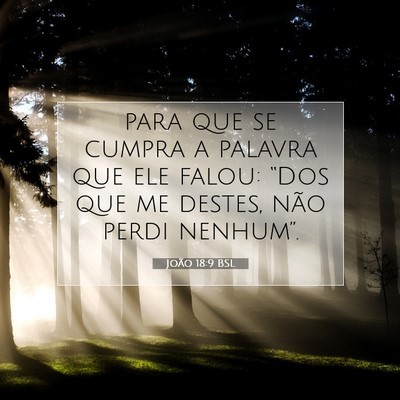 Picture 07 - João 18:9 BSL - para que se cumpra a palavra que ele falou: - Bible Verse Picture