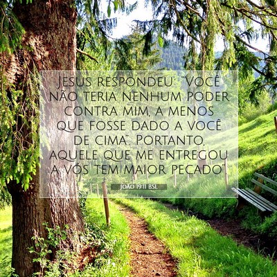 Picture 07 - João 19:11 BSL - Jesus respondeu: “Você não teria nenhum poder - Bible Verse Picture