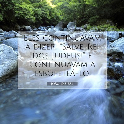Picture 07 - João 19:3 BSL - Eles continuavam a dizer: “Salve, Rei dos - Bible Verse Picture