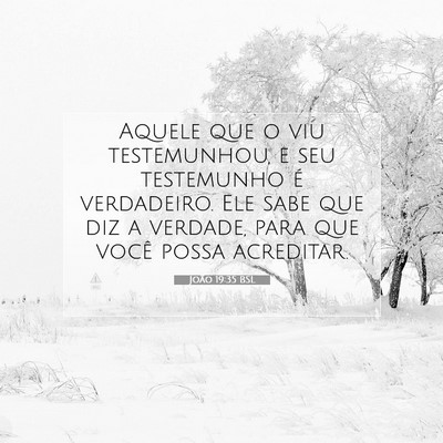 Picture 07 - João 19:35 BSL - Aquele que o viu testemunhou, e seu testemunho é - Bible Verse Picture