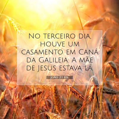 Picture 07 - João 2:1 BSL - No terceiro dia, houve um casamento em Caná da - Bible Verse Picture