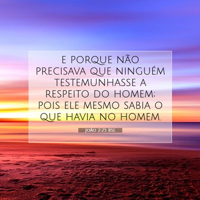 Picture 07 - João 2:25 BSL - e porque não precisava que ninguém - Bible Verse Picture