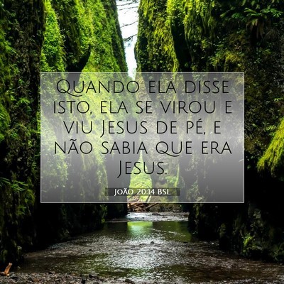 Picture 07 - João 20:14 BSL - Quando ela disse isto, ela se virou e viu Jesus - Bible Verse Picture