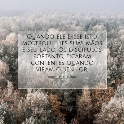 Picture 07 - João 20:20 BSL - Quando ele disse isto, mostrou-lhes suas mãos e - Bible Verse Picture