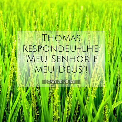 Picture 07 - João 20:28 BSL - Thomas respondeu-lhe: “Meu Senhor e meu - Bible Verse Picture