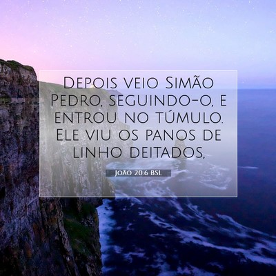 Picture 07 - João 20:6 BSL - Depois veio Simão Pedro, seguindo-o, e entrou no - Bible Verse Picture