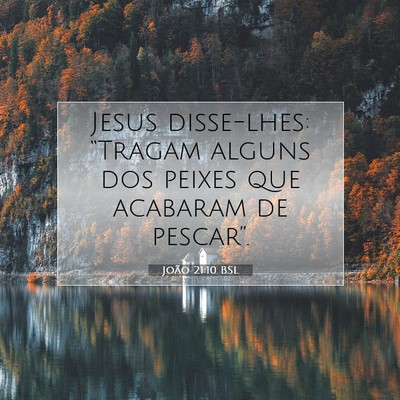 Picture 07 - João 21:10 BSL - Jesus disse-lhes: “Tragam alguns dos peixes que - Bible Verse Picture