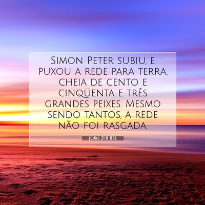 Picture 07 - João 21:11 BSL - Simon Peter subiu, e puxou a rede para terra, - Bible Verse Picture