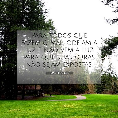 Picture 07 - João 3:20 BSL - Para todos que fazem o mal, odeiam a luz e não - Bible Verse Picture