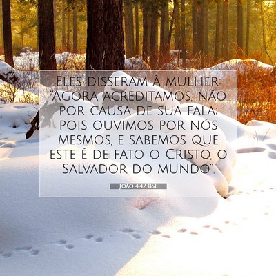 Picture 07 - João 4:42 BSL - Eles disseram à mulher: “Agora acreditamos, - Bible Verse Picture