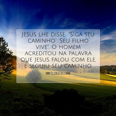 Picture 07 - João 4:50 BSL - Jesus lhe disse: “Siga seu caminho”. Seu - Bible Verse Picture
