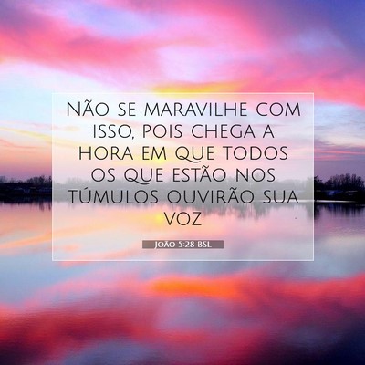 Picture 07 - João 5:28 BSL - Não se maravilhe com isso, pois chega a hora em - Bible Verse Picture