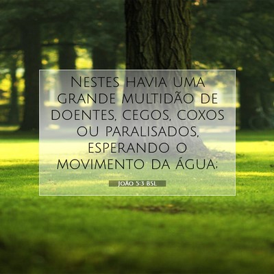 Picture 07 - João 5:3 BSL - Nestes havia uma grande multidão de doentes, - Bible Verse Picture