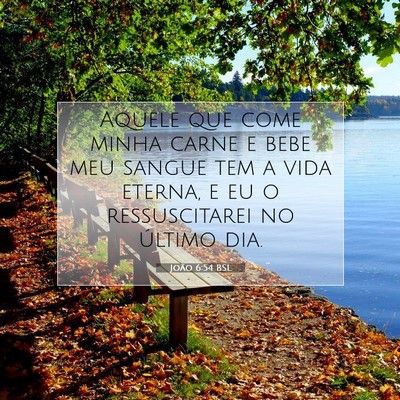 Picture 07 - João 6:54 BSL - Aquele que come minha carne e bebe meu sangue tem - Bible Verse Picture