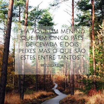 Picture 07 - João 6:9 BSL - “Há aqui um menino que tem cinco pães de - Bible Verse Picture