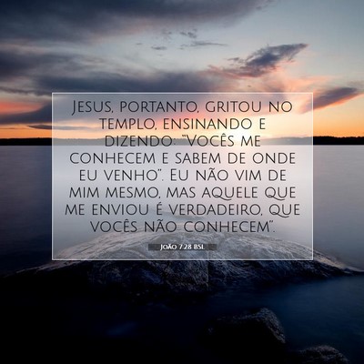 Picture 07 - João 7:28 BSL - Jesus, portanto, gritou no templo, ensinando e - Bible Verse Picture