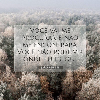 Picture 07 - João 7:34 BSL - Você vai me procurar e não me encontrará. - Bible Verse Picture