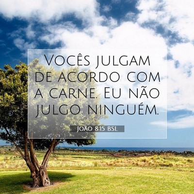 Picture 07 - João 8:15 BSL - Vocês julgam de acordo com a carne. Eu não - Bible Verse Picture