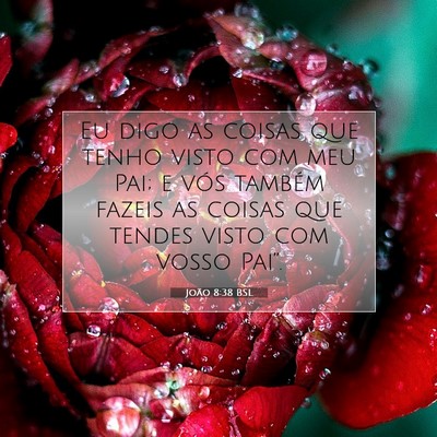Picture 07 - João 8:38 BSL - Eu digo as coisas que tenho visto com meu Pai; e - Bible Verse Picture
