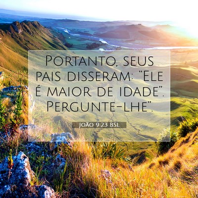 Picture 07 - João 9:23 BSL - Portanto, seus pais disseram: “Ele é maior de - Bible Verse Picture