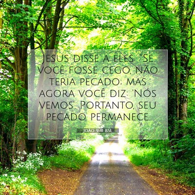 Picture 07 - João 9:41 BSL - Jesus disse a eles: “Se você fosse cego, não - Bible Verse Picture