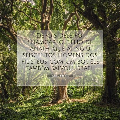 Picture 07 - Juízes 3:31 BSL - Depois dele foi Shamgar, o filho de Anath, que - Bible Verse Picture