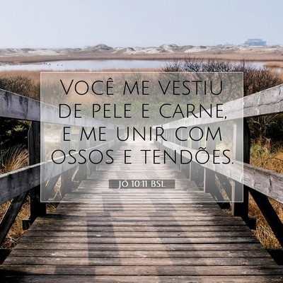 Picture 07 - Jó 10:11 BSL - Você me vestiu de pele e carne, e me unir com - Bible Verse Picture