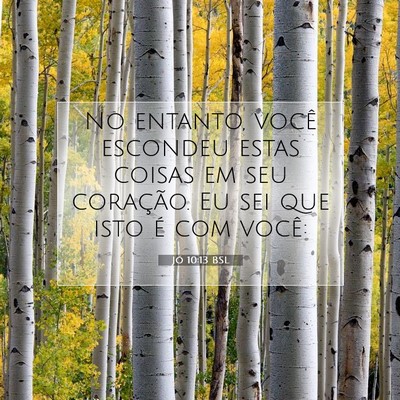 Picture 07 - Jó 10:13 BSL - No entanto, você escondeu estas coisas em seu - Bible Verse Picture