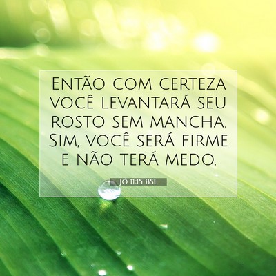Picture 07 - Jó 11:15 BSL - Então com certeza você levantará seu rosto sem - Bible Verse Picture