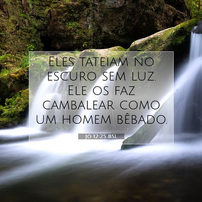 Picture 07 - Jó 12:25 BSL - Eles tateiam no escuro sem luz. Ele os faz - Bible Verse Picture
