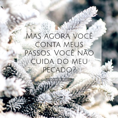 Picture 07 - Jó 14:16 BSL - Mas agora você conta meus passos. Você não - Bible Verse Picture