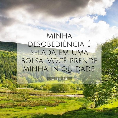 Picture 07 - Jó 14:17 BSL - Minha desobediência é selada em uma bolsa. - Bible Verse Picture