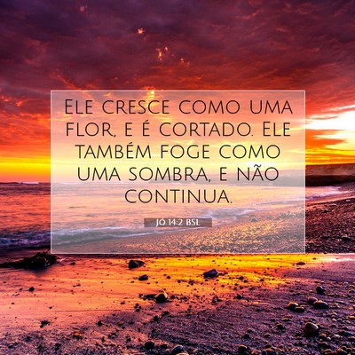 Picture 07 - Jó 14:2 BSL - Ele cresce como uma flor, e é cortado. Ele - Bible Verse Picture