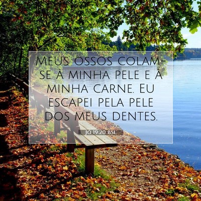 Picture 07 - Jó 19:20 BSL - Meus ossos colam-se à minha pele e à minha - Bible Verse Picture