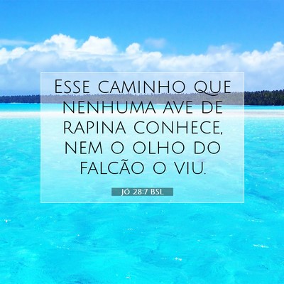 Picture 07 - Jó 28:7 BSL - Esse caminho que nenhuma ave de rapina conhece, - Bible Verse Picture