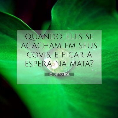 Picture 07 - Jó 38:40 BSL - quando eles se agacham em seus covis, e ficar à - Bible Verse Picture