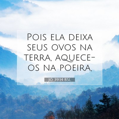 Picture 07 - Jó 39:14 BSL - Pois ela deixa seus ovos na terra, aquece-os na - Bible Verse Picture