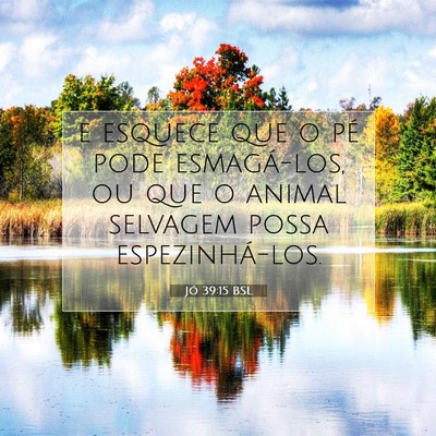 Picture 07 - Jó 39:15 BSL - e esquece que o pé pode esmagá-los, ou que o - Bible Verse Picture