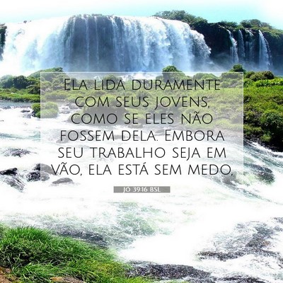 Picture 07 - Jó 39:16 BSL - Ela lida duramente com seus jovens, como se eles - Bible Verse Picture
