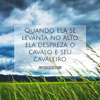 Picture 07 - Jó 39:18 BSL - Quando ela se levanta no alto, ela despreza o - Bible Verse Picture
