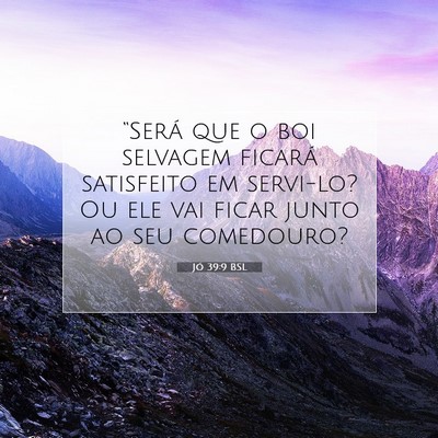 Picture 07 - Jó 39:9 BSL - “Será que o boi selvagem ficará satisfeito em - Bible Verse Picture