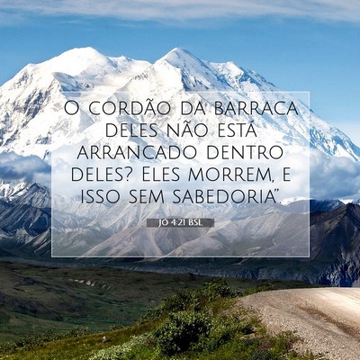 Picture 07 - Jó 4:21 BSL - O cordão da barraca deles não está arrancado - Bible Verse Picture