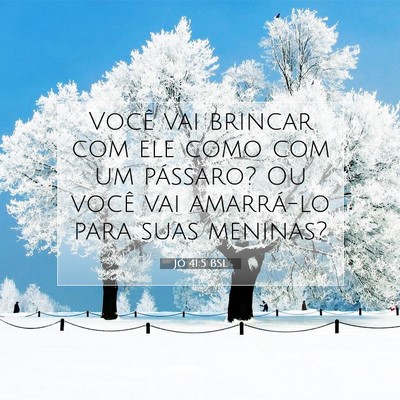 Picture 07 - Jó 41:5 BSL - Você vai brincar com ele como com um pássaro? - Bible Verse Picture