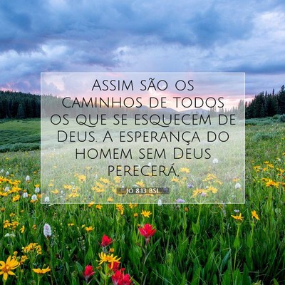 Picture 07 - Jó 8:13 BSL - Assim são os caminhos de todos os que se - Bible Verse Picture