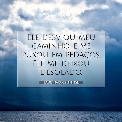 Picture 07 - Lamentações 3:11 BSL - Ele desviou meu caminho, e me puxou em pedaços. - Bible Verse Picture