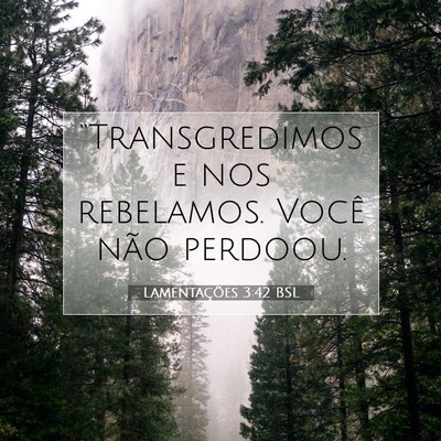 Picture 07 - Lamentações 3:42 BSL - “Transgredimos e nos rebelamos. Você não - Bible Verse Picture