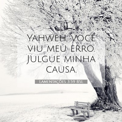 Picture 07 - Lamentações 3:59 BSL - Yahweh, você viu meu erro. Julgue minha - Bible Verse Picture
