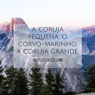 Picture 07 - Levítico 11:17 BSL - a coruja pequena, o corvo-marinho, a coruja - Bible Verse Picture
